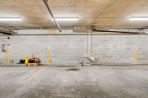 309-1602 11 Avenue Sw, Calgary, AB - Indoor Photo Showing Garage