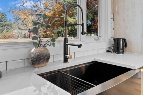 3832 40 Avenue Nw, Calgary, AB - Indoor Photo Showing Kitchen With Double Sink