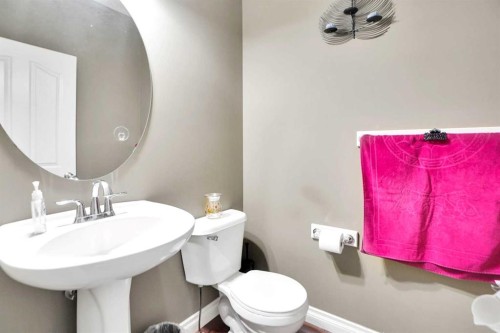 39 Skyview Shores Rise Ne, Calgary, AB - Indoor Photo Showing Bathroom