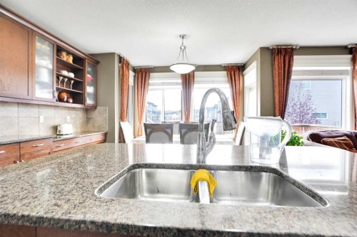 39 Skyview Shores Rise Ne, Calgary, AB - Indoor Photo Showing Kitchen With Double Sink