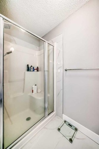 24 Copperfield Manor Se, Calgary, AB - Indoor Photo Showing Bathroom