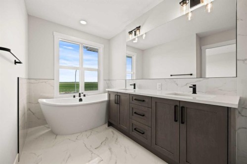 494 Kinniburgh Loop, Chestermere, AB - Indoor Photo Showing Bathroom
