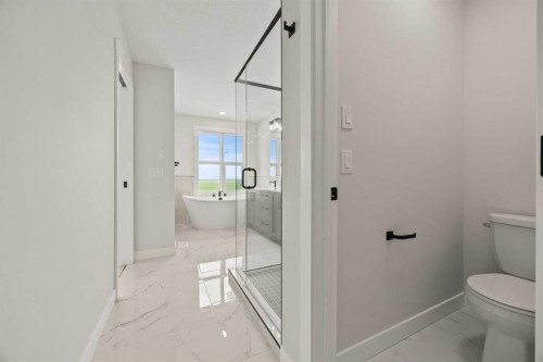 494 Kinniburgh Loop, Chestermere, AB - Indoor Photo Showing Bathroom