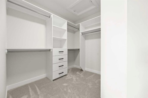 494 Kinniburgh Loop, Chestermere, AB - Indoor With Storage