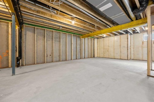 494 Kinniburgh Loop, Chestermere, AB - Indoor Photo Showing Basement
