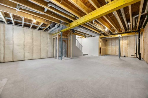 494 Kinniburgh Loop, Chestermere, AB - Indoor Photo Showing Basement