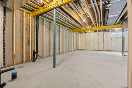 494 Kinniburgh Loop, Chestermere, AB - Indoor Photo Showing Basement