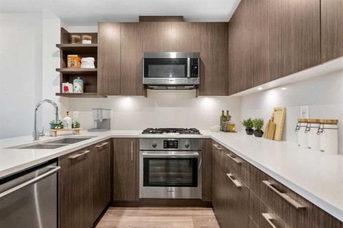 202-88 9 Street Ne, Calgary, AB - Indoor Photo Showing Kitchen With Stainless Steel Kitchen With Double Sink With Upgraded Kitchen