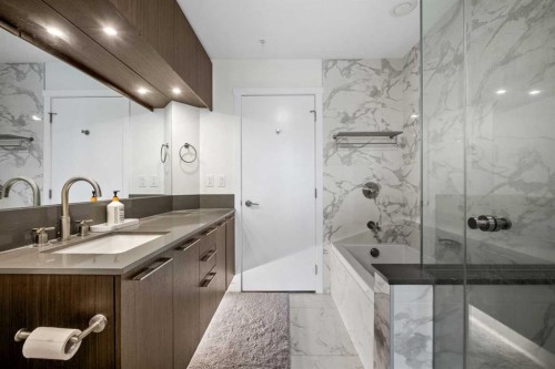 202-88 9 Street Ne, Calgary, AB - Indoor Photo Showing Bathroom