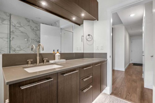 202-88 9 Street Ne, Calgary, AB - Indoor Photo Showing Bathroom