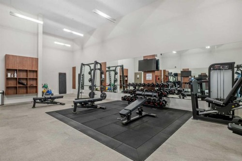 202-88 9 Street Ne, Calgary, AB - Indoor Photo Showing Gym Room