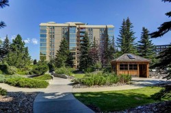204-4603 Varsity Drive NW Calgary, AB T3A 2V7