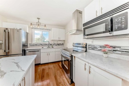 35 Ray Avenue, Red Deer, AB - Indoor Photo Showing Kitchen With Double Sink