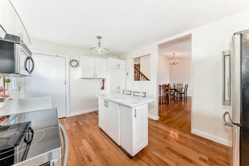 35 Ray Avenue, Red Deer, AB - Indoor Photo Showing Kitchen With Double Sink