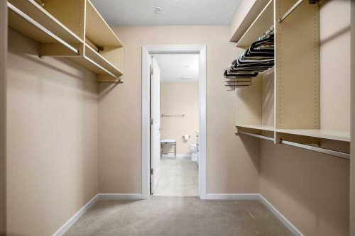 2202-310 Mckenzie Towne Gate Se, Calgary, AB - Indoor With Storage