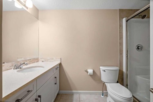 2202-310 Mckenzie Towne Gate Se, Calgary, AB - Indoor Photo Showing Bathroom