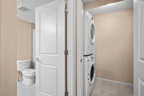 2202-310 Mckenzie Towne Gate Se, Calgary, AB - Indoor Photo Showing Laundry Room