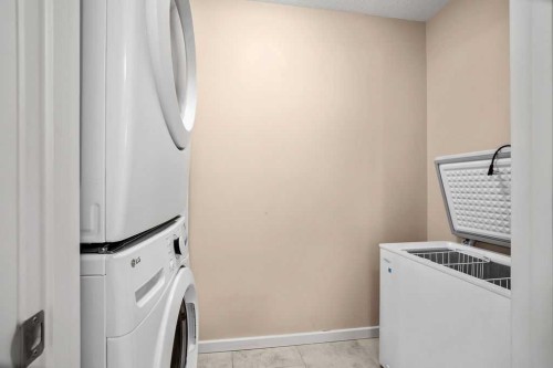 2202-310 Mckenzie Towne Gate Se, Calgary, AB - Indoor Photo Showing Laundry Room