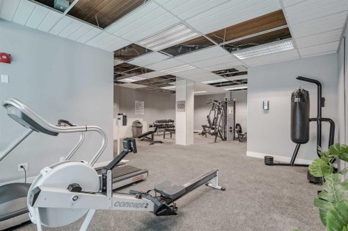 307-4944 Dalton Drive Nw, Calgary, AB - Indoor Photo Showing Gym Room