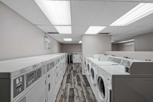 307-4944 Dalton Drive Nw, Calgary, AB - Indoor Photo Showing Laundry Room