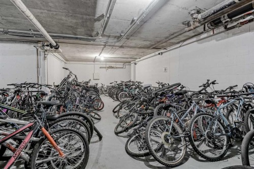 307-4944 Dalton Drive Nw, Calgary, AB - Indoor Photo Showing Garage