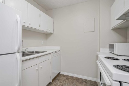 307-4944 Dalton Drive Nw, Calgary, AB - Indoor Photo Showing Kitchen With Double Sink
