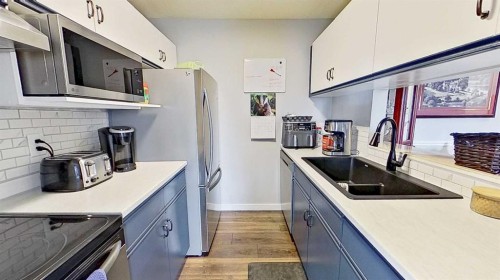406-11 Dover Point Se, Calgary, AB - Indoor Photo Showing Kitchen With Double Sink