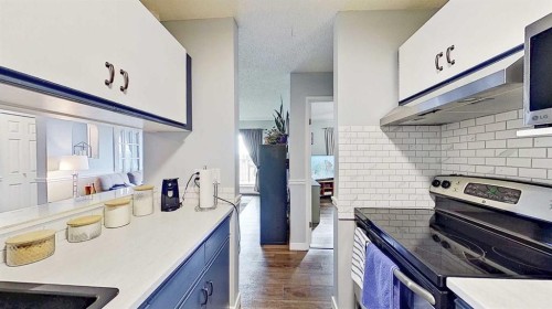 406-11 Dover Point Se, Calgary, AB - Indoor Photo Showing Kitchen