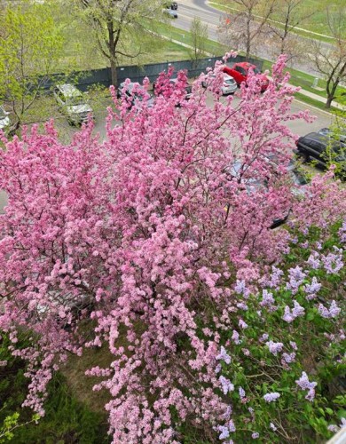 406-11 Dover Point Se, Calgary, AB - Outdoor