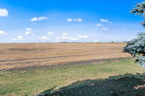 17-1200 Milt Ford Lane, Carstairs, AB - Outdoor With View