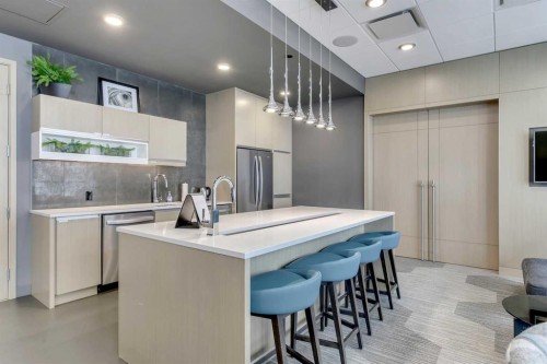 415-11 Mahogany Circle Se, Calgary, AB - Indoor Photo Showing Kitchen With Upgraded Kitchen
