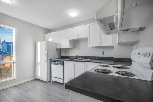 103 Taradale Drive Ne, Calgary, AB - Indoor Photo Showing Kitchen With Double Sink
