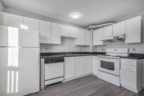 103 Taradale Drive Ne, Calgary, AB - Indoor Photo Showing Kitchen With Double Sink