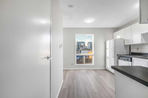103 Taradale Drive Ne, Calgary, AB - Indoor Photo Showing Kitchen