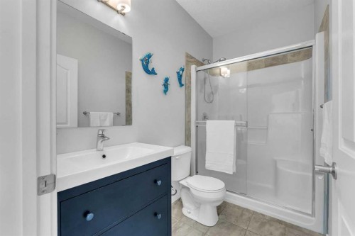 1535 Ravensmoor Way Se, Airdrie, AB - Indoor Photo Showing Bathroom