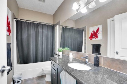 1065 Channelside Drive Sw, Airdrie, AB - Indoor Photo Showing Bathroom