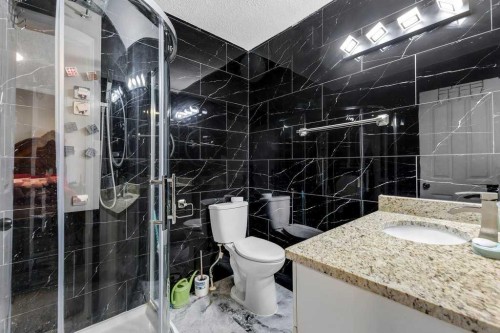 459 Templevale Drive Ne, Calgary, AB - Indoor Photo Showing Bathroom