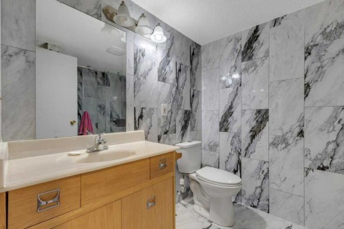 459 Templevale Drive Ne, Calgary, AB - Indoor Photo Showing Bathroom