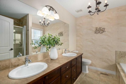40 Heritage Hill, Cochrane, AB - Indoor Photo Showing Bathroom