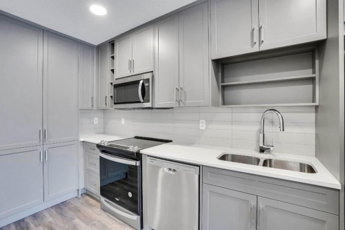 2113-350 Livingston Common Ne, Calgary, AB - Indoor Photo Showing Kitchen With Double Sink