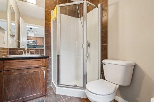 22 Auburn Bay View Se, Calgary, AB - Indoor Photo Showing Bathroom