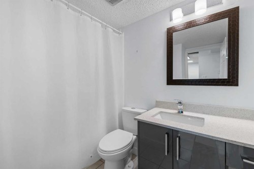 205-4328 4 Street Nw, Calgary, AB - Indoor Photo Showing Bathroom