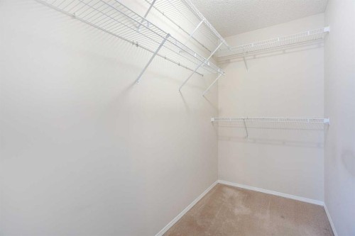 29 Spring Crescent Sw, Calgary, AB - Indoor With Storage