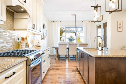 163 Cranarch Landing Se, Calgary, AB - Indoor Photo Showing Kitchen With Double Sink With Upgraded Kitchen