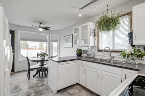 47 Harvest Glen Rise Ne, Calgary, AB - Indoor Photo Showing Kitchen With Double Sink