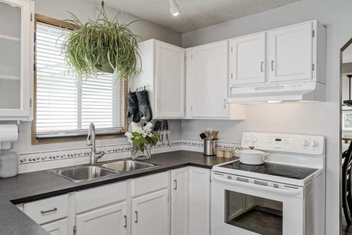 47 Harvest Glen Rise Ne, Calgary, AB - Indoor Photo Showing Kitchen With Double Sink