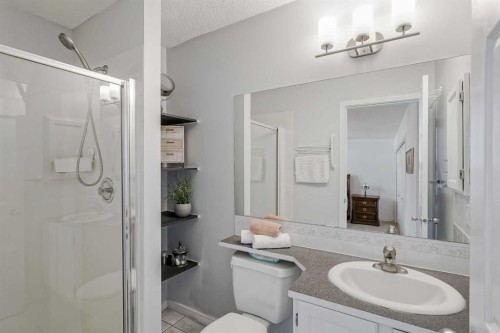 47 Harvest Glen Rise Ne, Calgary, AB - Indoor Photo Showing Bathroom