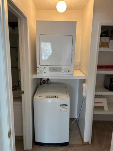 15-821 3 Avenue Sw, Calgary, AB - Indoor Photo Showing Laundry Room