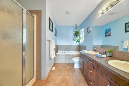 32 Copperpond Heights Se, Calgary, AB - Indoor Photo Showing Bathroom