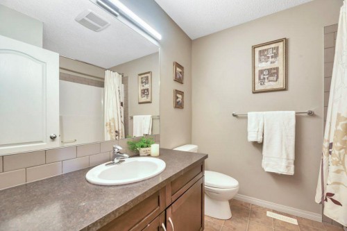 32 Copperpond Heights Se, Calgary, AB - Indoor Photo Showing Bathroom